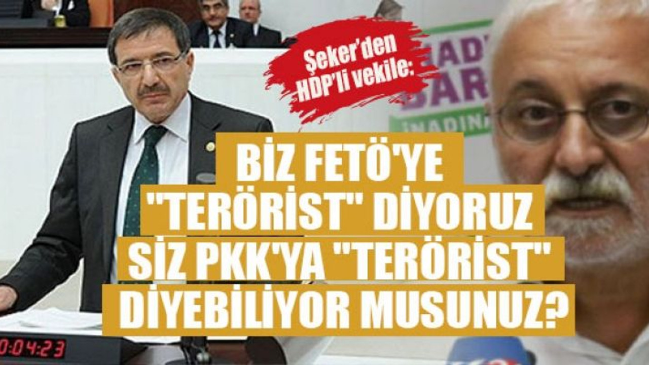 Şeker’den HDP’li vekile: Biz FETÖ'ye "terörist" diyoruz siz PKK'ya "terörist" diyebiliyor musunuz?