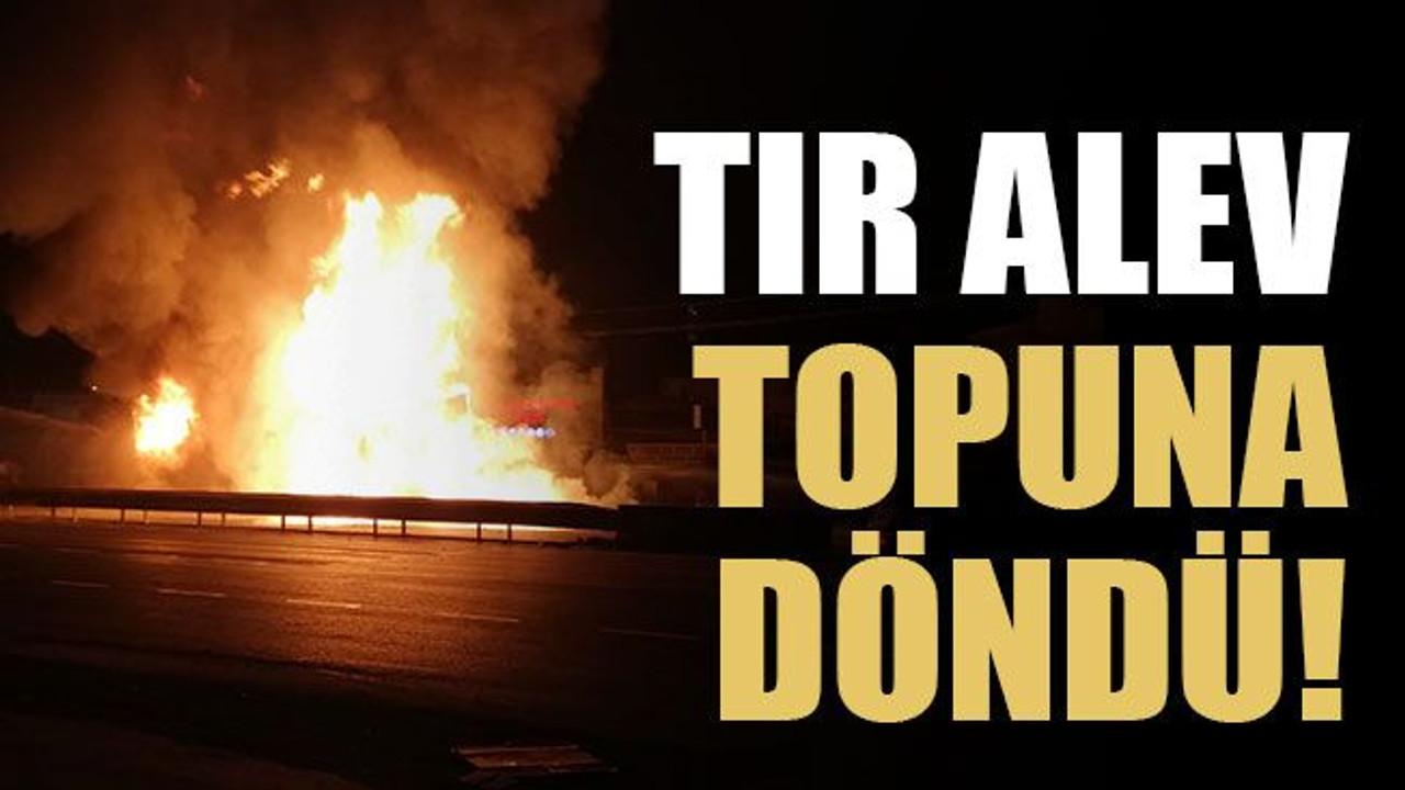TIR alev topuna döndü!