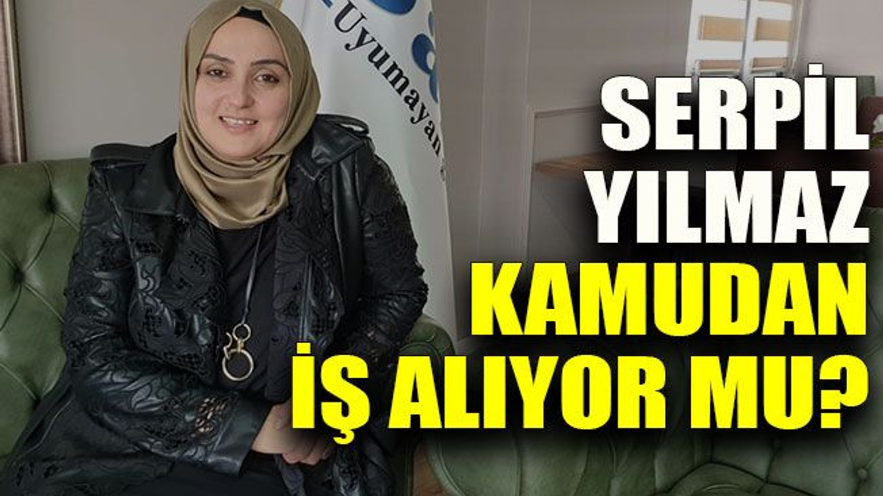 Serpil Yılmaz kamudan iş alıyor mu?