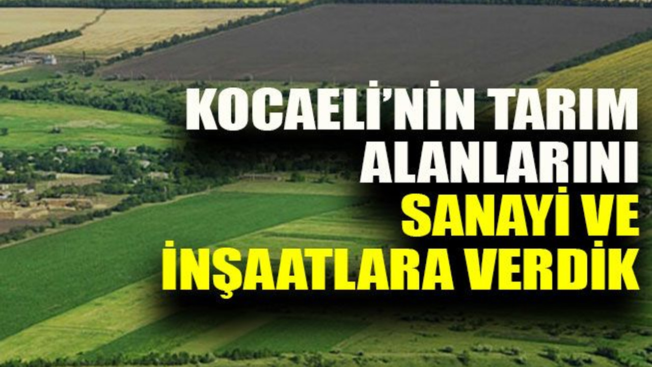 Kocaeli’nin tarım alanları sanayi ve inşaatlara kurban gidiyor