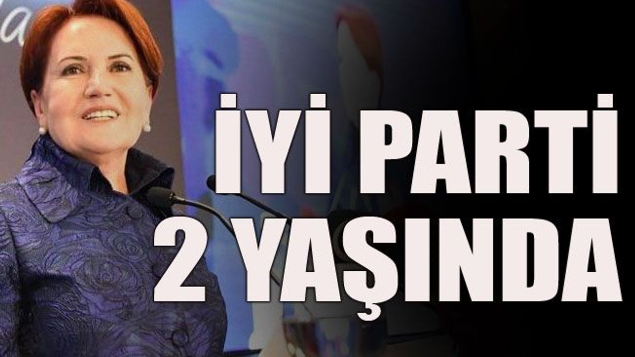 İYİ Parti 2 yaşında