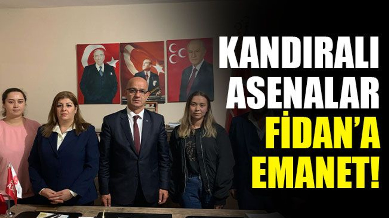 Kandıralı asenalar, Fidan’a emanet!