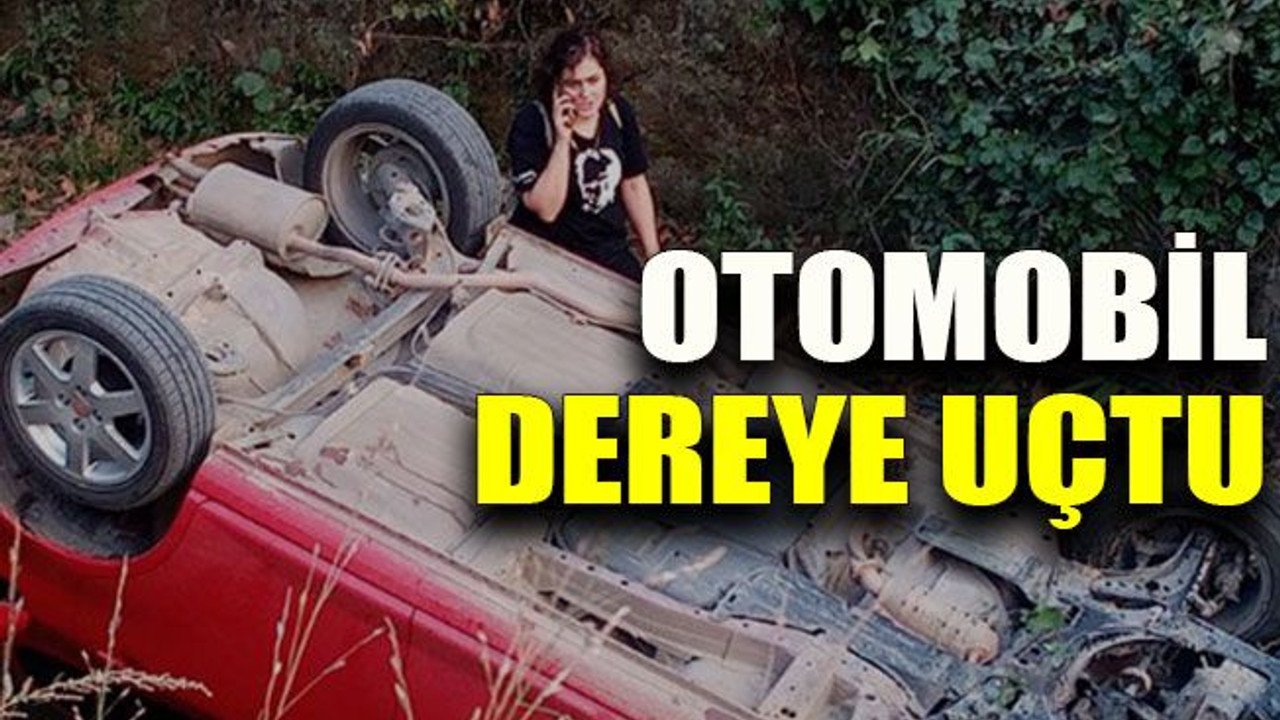 Otomobil dereye uçtu