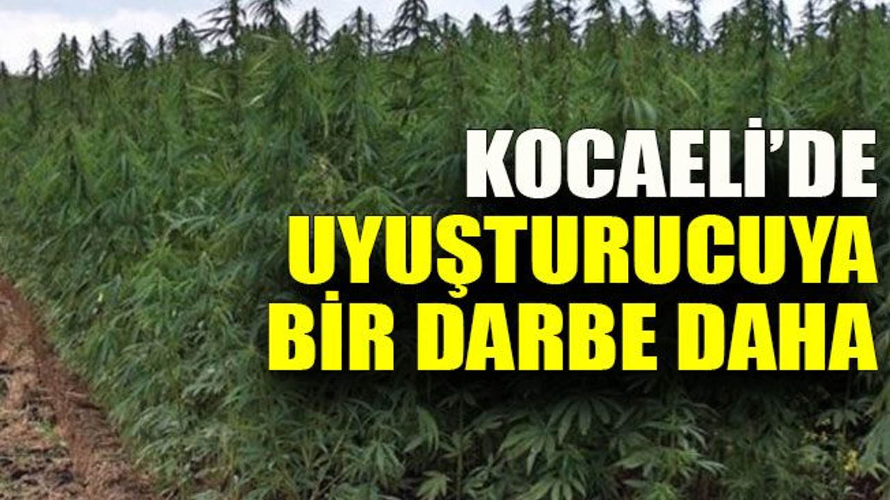 Kocaeli’de uyuşturucuya bir darbe daha