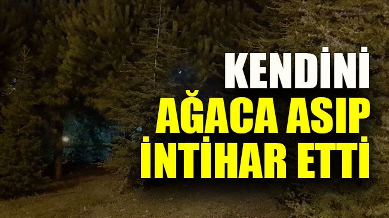 Kendini ağaca asıp intihar etti