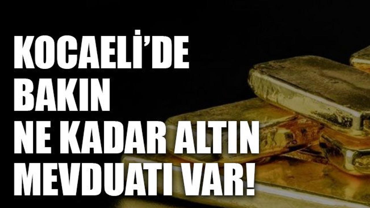 Kocaeli’de bakın ne kadar altın mevduatı var!