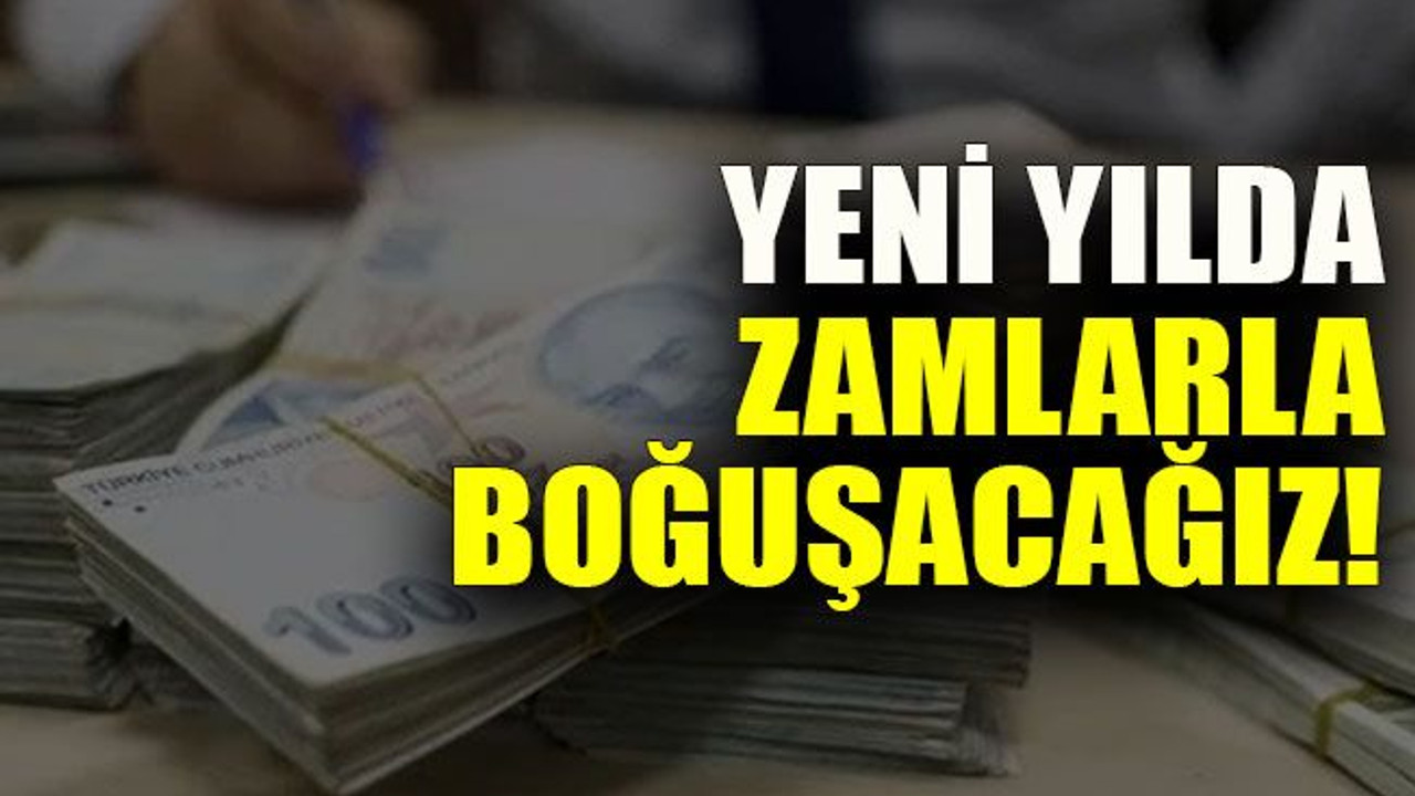 Yeni yılda zamlarla boğuşacağız!