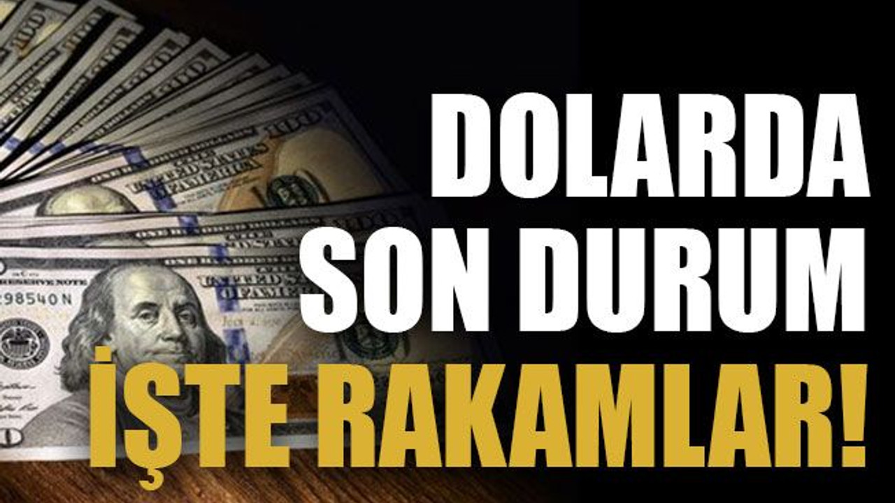 Dolarda son durum İşte rakamlar!