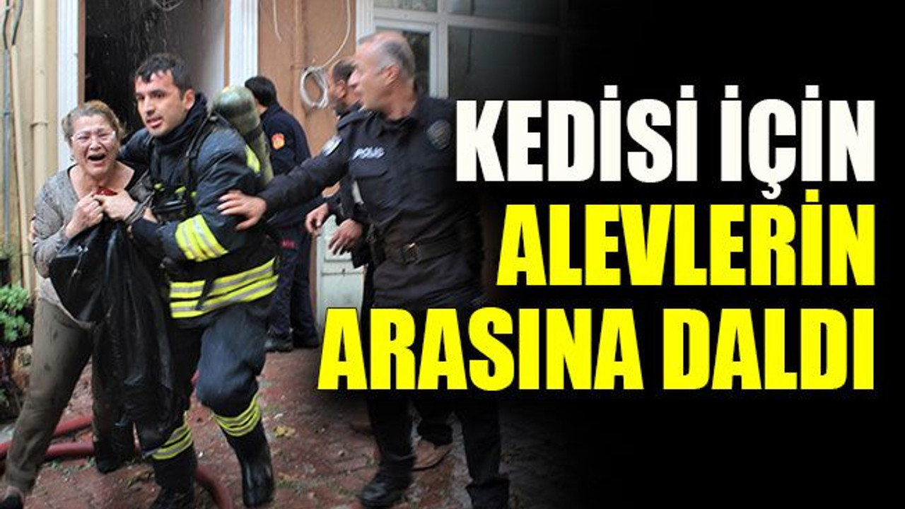 Kedisi için alevlerin arasına daldı