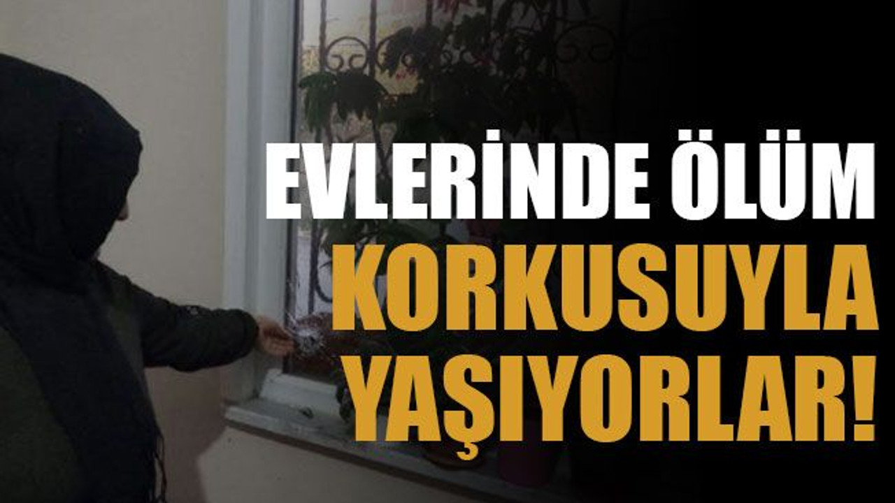 Evlerinde ölüm korkusuyla yaşıyorlar