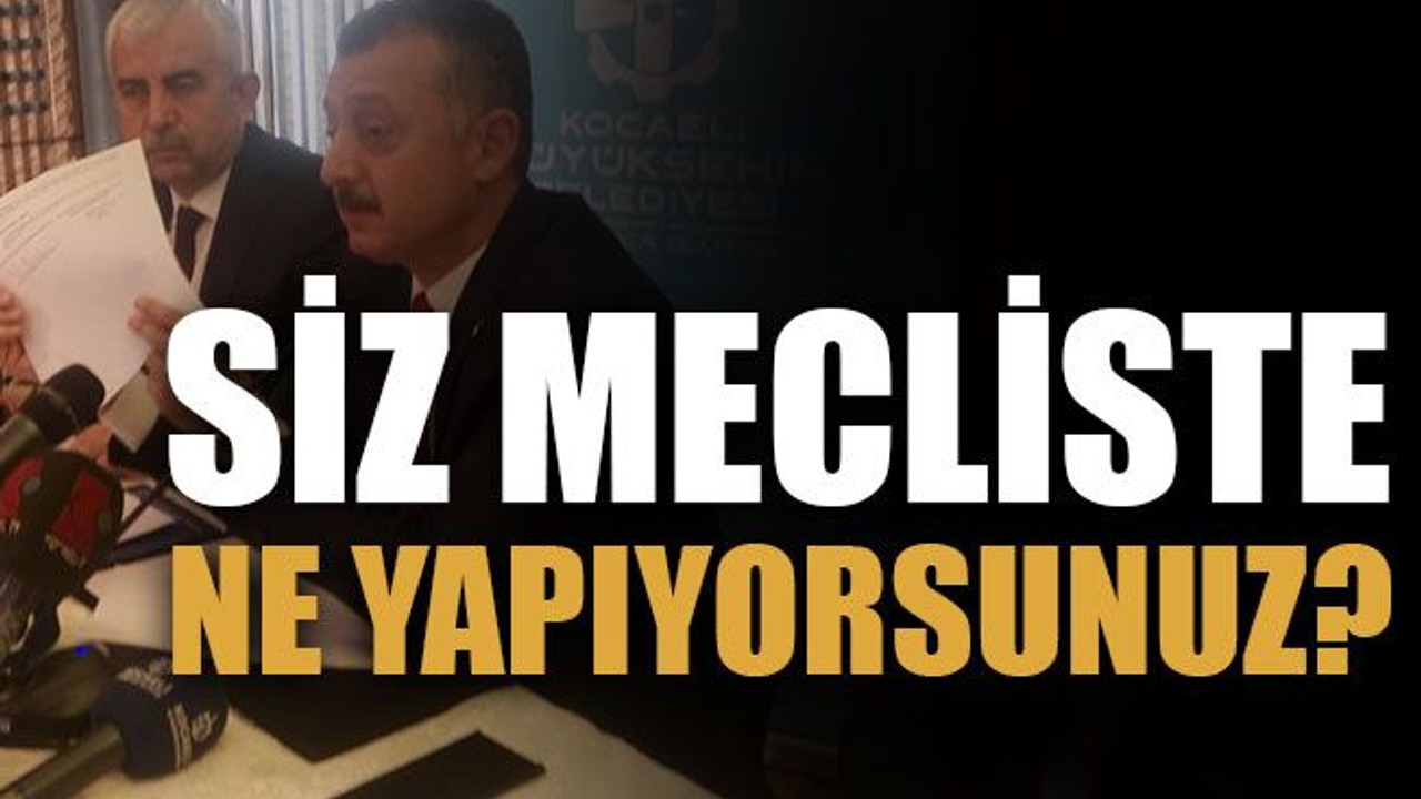 Siz mecliste ne yapıyorsunuz?