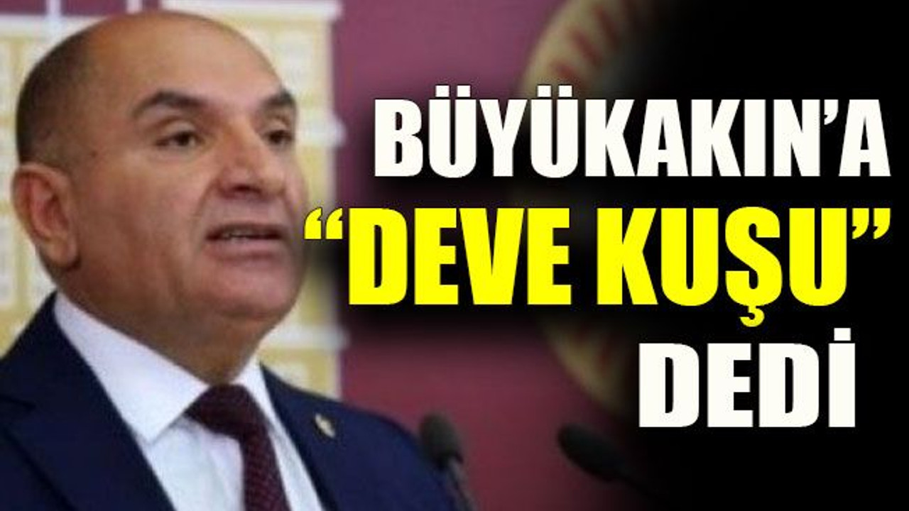 Tahir Büyükakın'a "Deve kuşu" dedi!