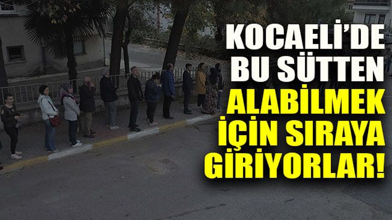 Kocaeli’de bu sütten alabilmek için sıraya giriyorlar!