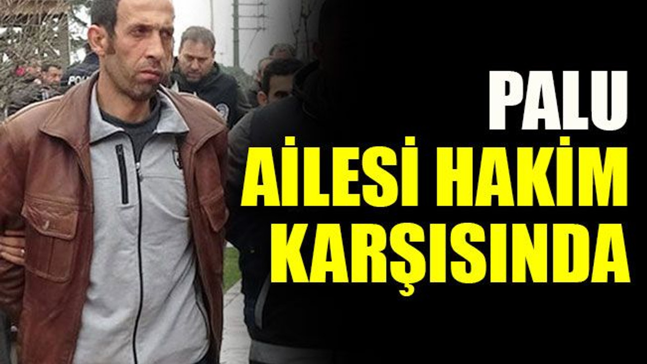 Palu ailesi hakim karşısında: "Akıl sağlığımız yerinde"