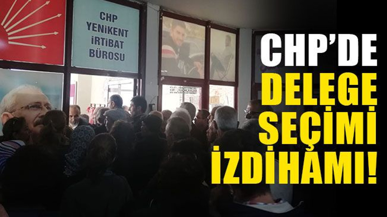 CHP’de delege seçimi izdihamı!