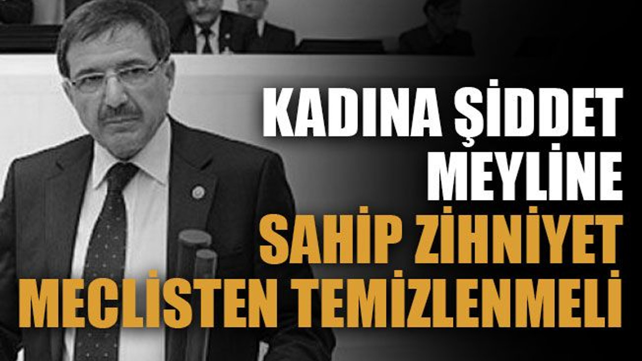 İlyas Şeker: Kadına şiddet meyline sahip zihniyet meclisten temizlenmeli