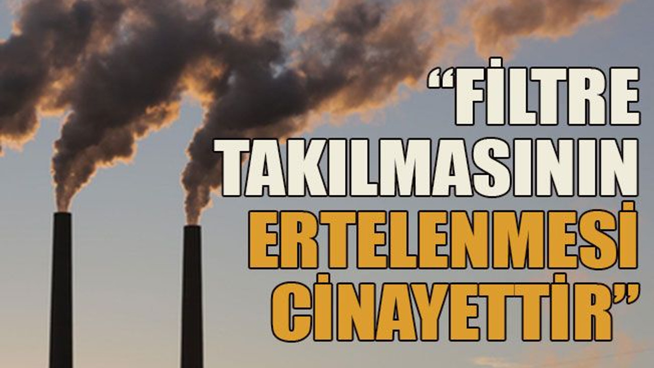 “Termik santrallere filtre takılmasının ertelenmesi cinayettir”