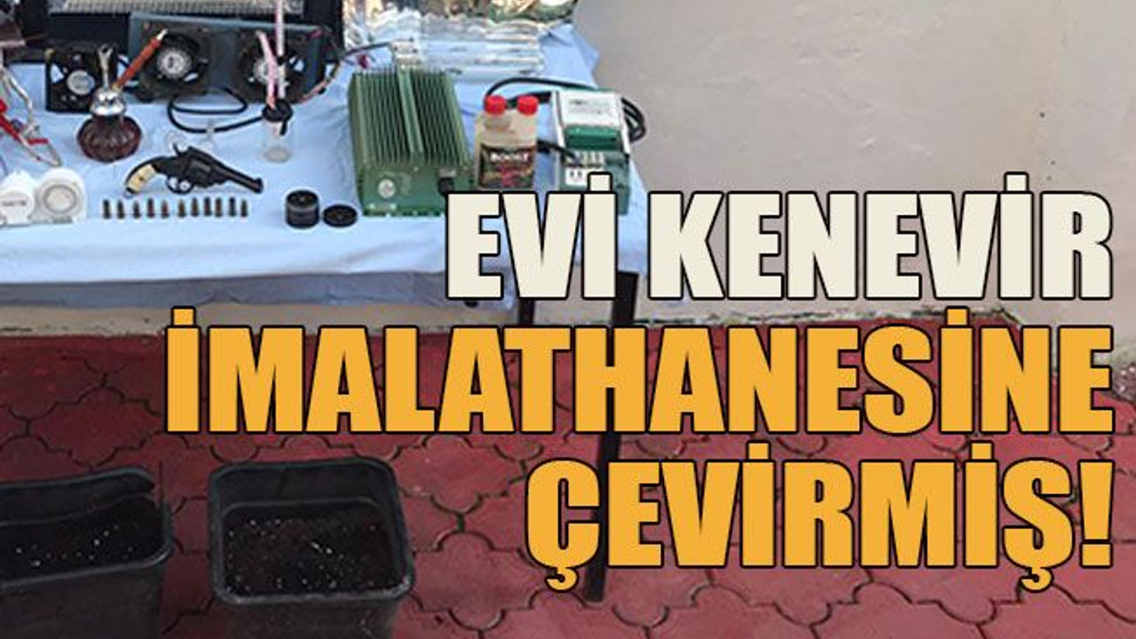 Evi kenevir imalathanesine çevirmiş!
