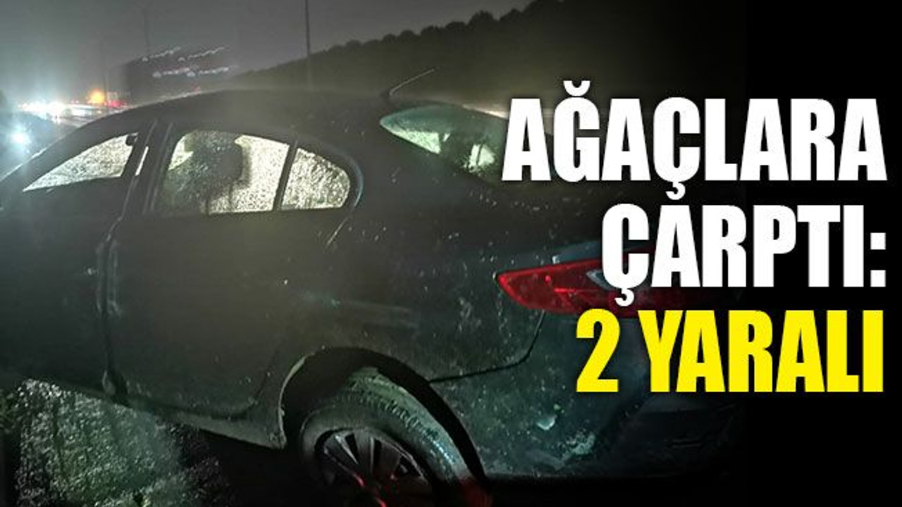 Kocaeli’de otomobil ağaçlara çarptı: 2 yaralı