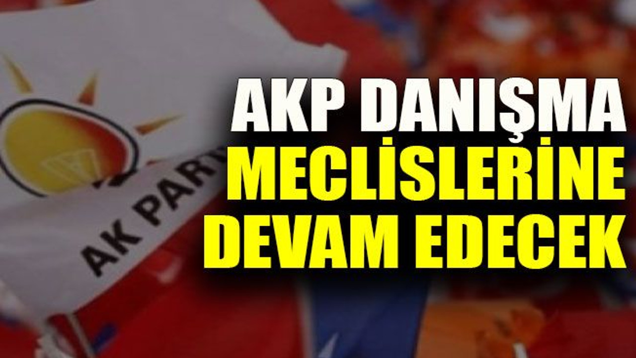 AKP Danışma meclislerine devam edecek