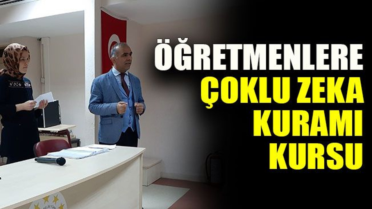 Öğretmenlere çoklu zeka kuramı kursu