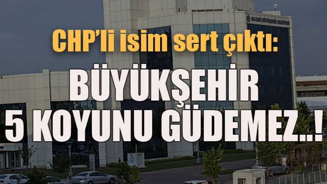 CHP’li isim sert çıktı: Büyükşehir 5 koyunu güdemez..!