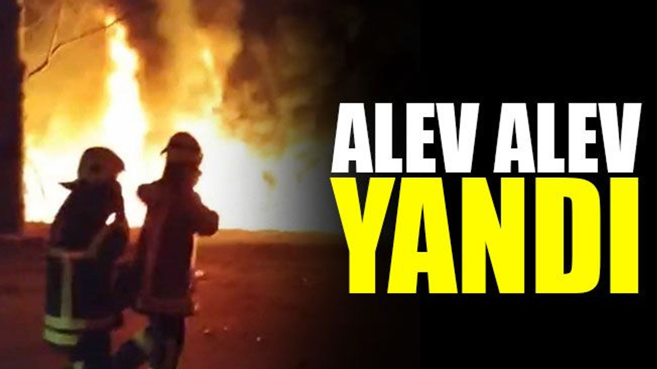 Alev alev yanan konteynerler paniğe neden oldu