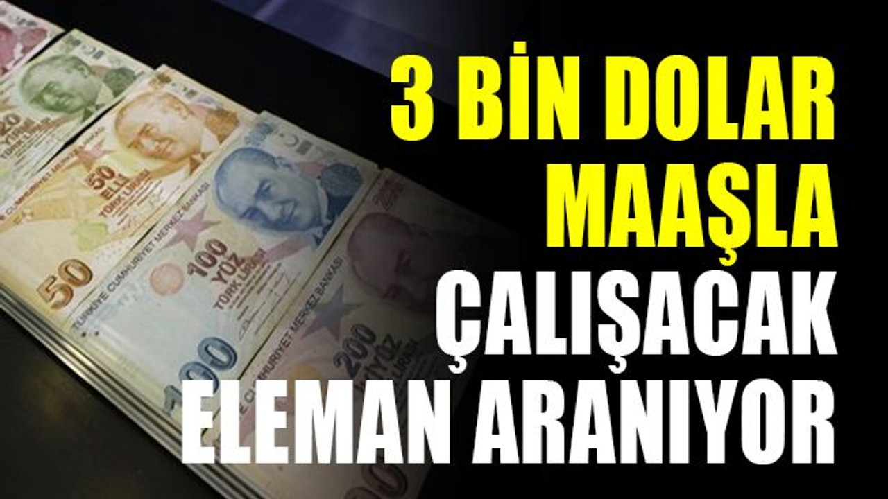 3 bin dolar maaşla çalışacak eleman aranıyor