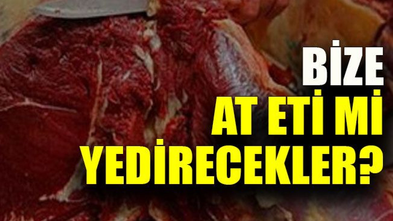 Türkkan: “At etini kime yedireceksiniz?”