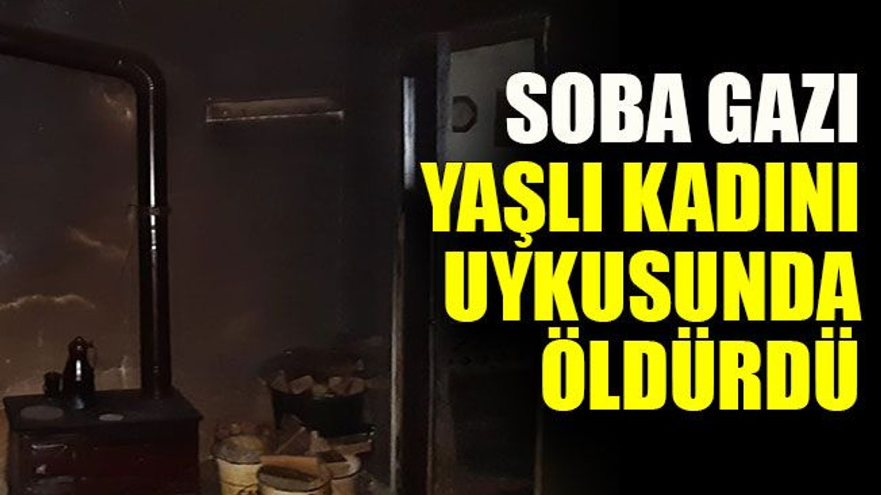 Soba gazı yaşlı kadını uykusunda öldürdü