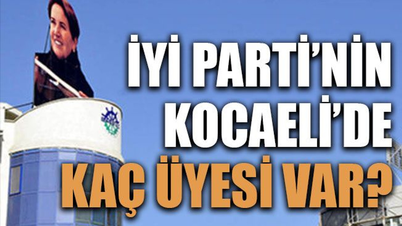 İYİ Parti’nin Kocaeli’de kaç üyesi var?