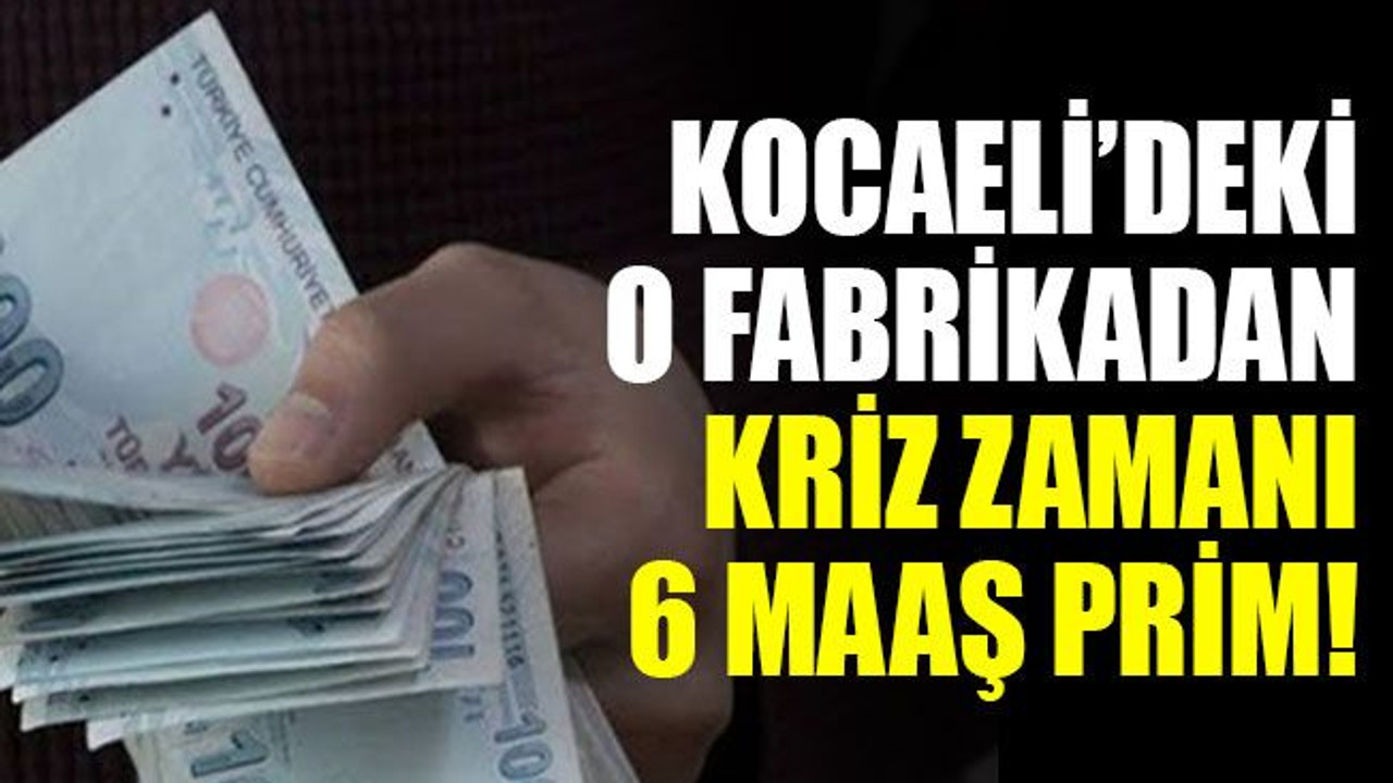 Kocaeli’deki o fabrikadan kriz zamanı 6 brüt maaş prim!