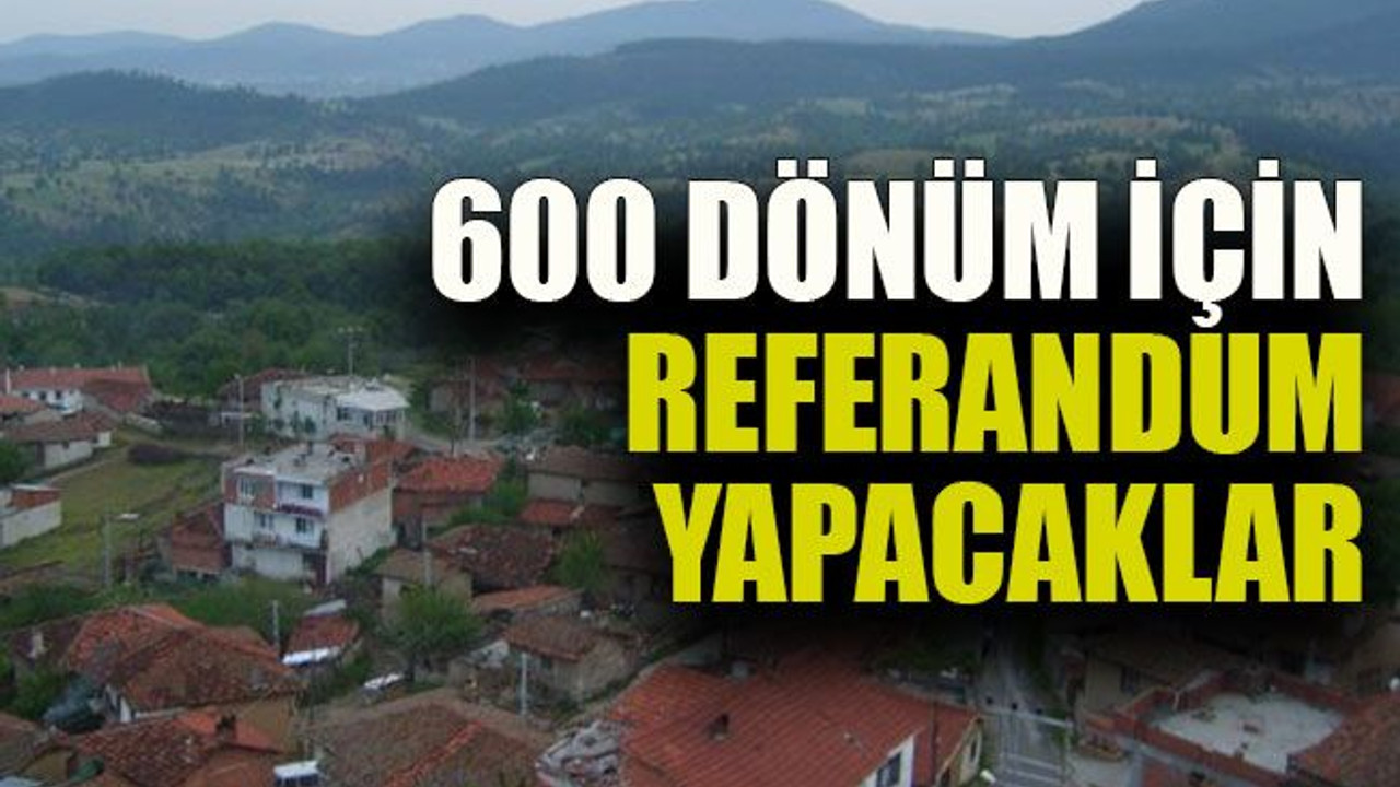 600 dönüm için referandum yapacaklar