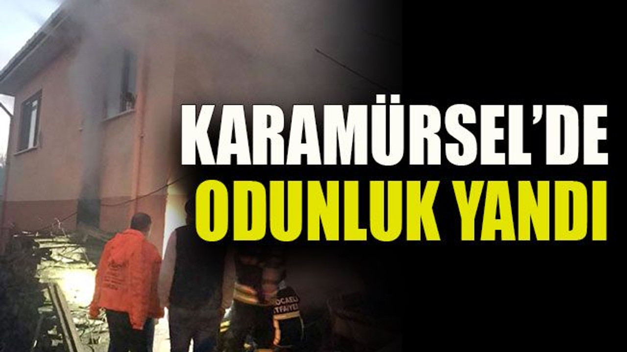 Karamürsel’de odunluk yandı