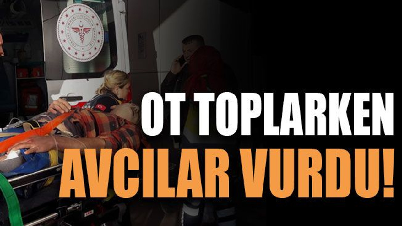 Ot toplarken avcılar vurdu!