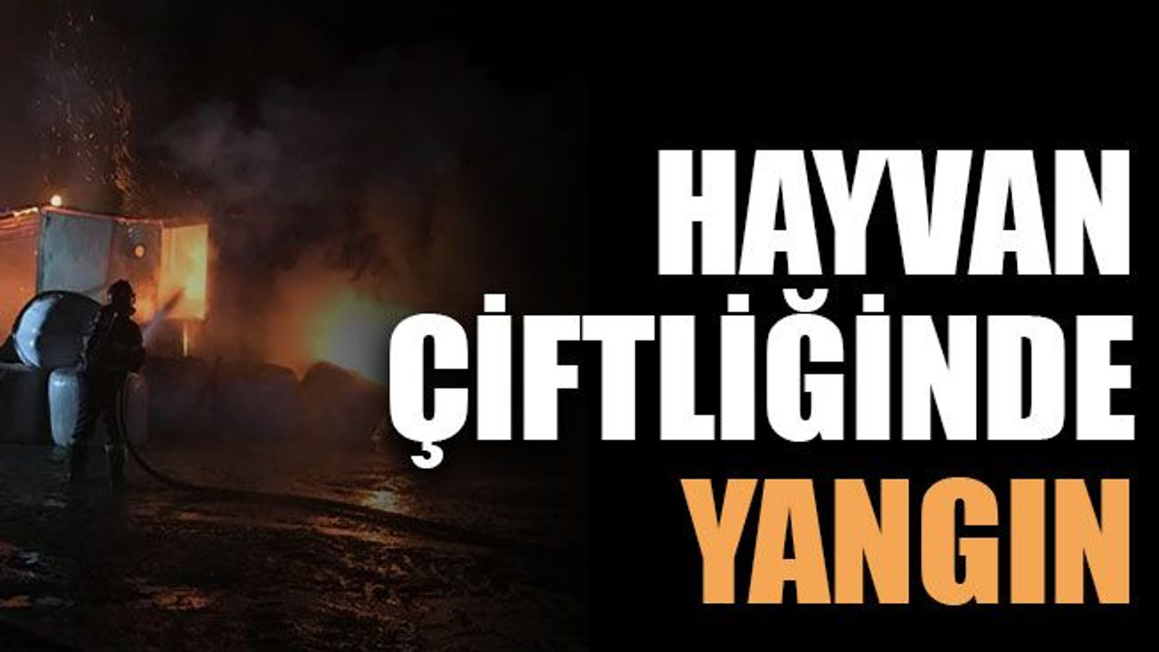 Hayvan çiftliğinde yangın