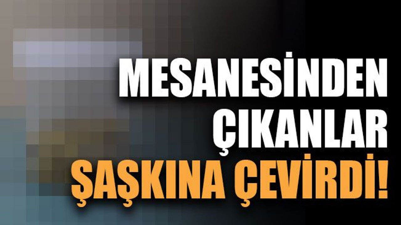 Mesanesinden çıkanlar şaşkına çevirdi!