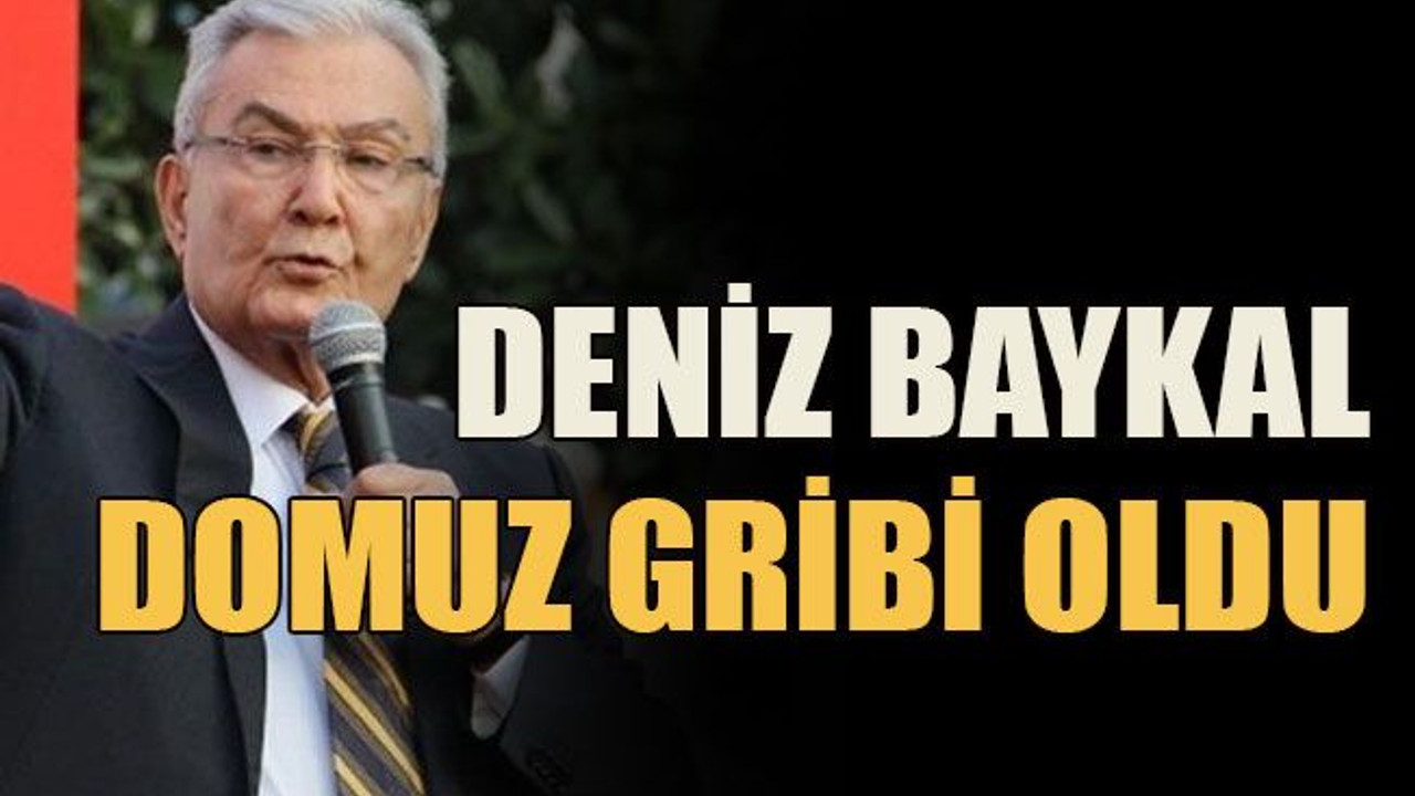 Deniz Baykal domuz gribi oldu