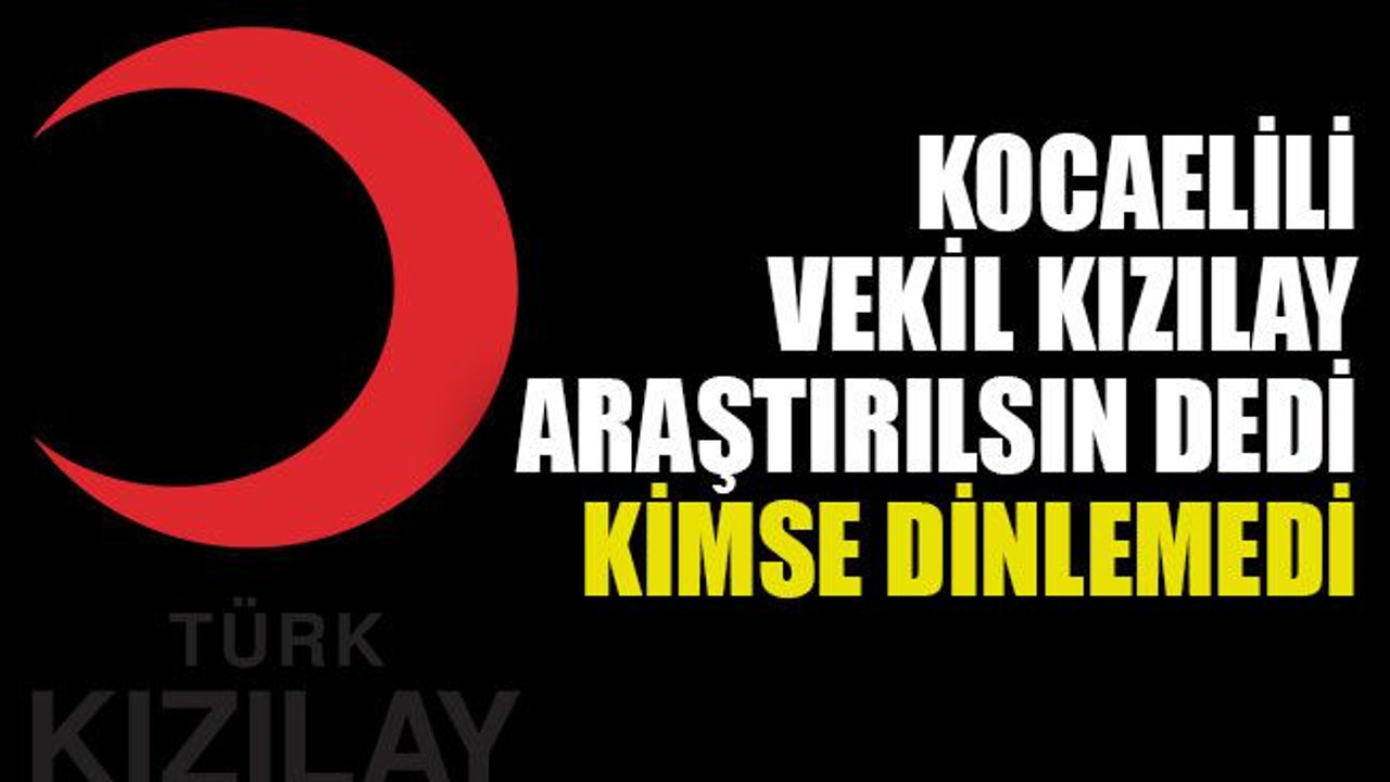 Kocaelili vekil Kızılay araştırılsın dedi kimse dinlemedi