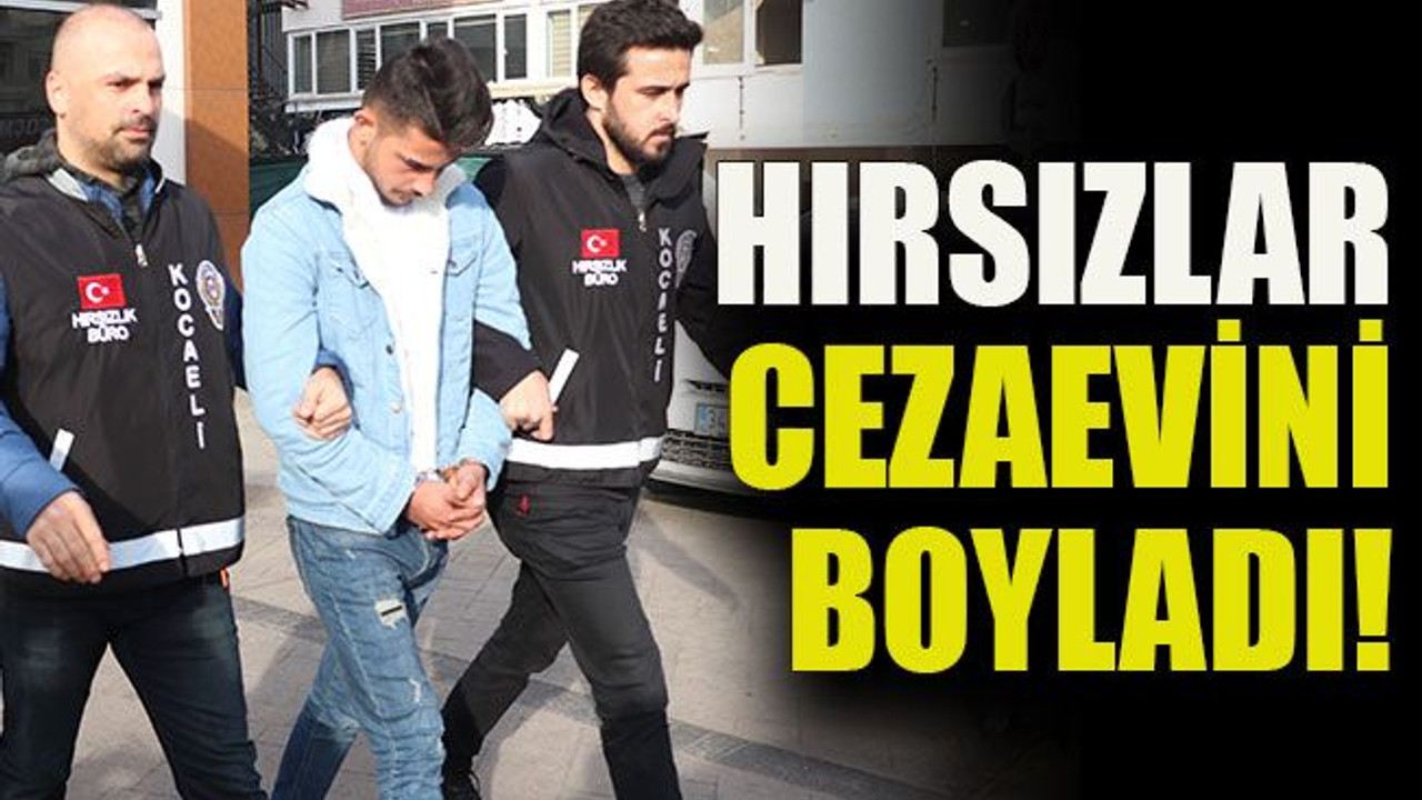 Hırsızlar cezaevini boyladı!