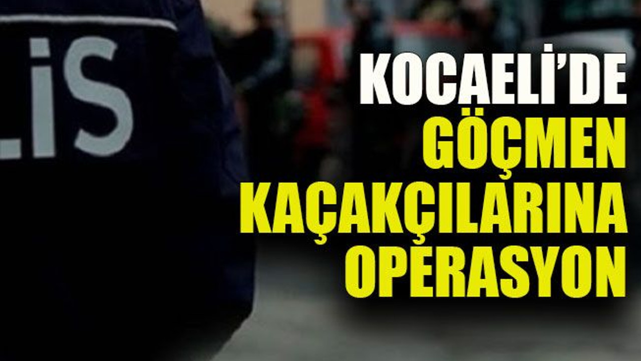 Kocaeli'de göçmen kaçakçılarına operasyon