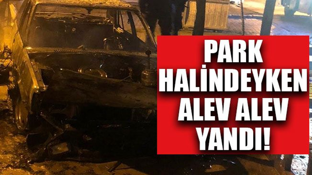 Park halindeyken alev alev yandı!