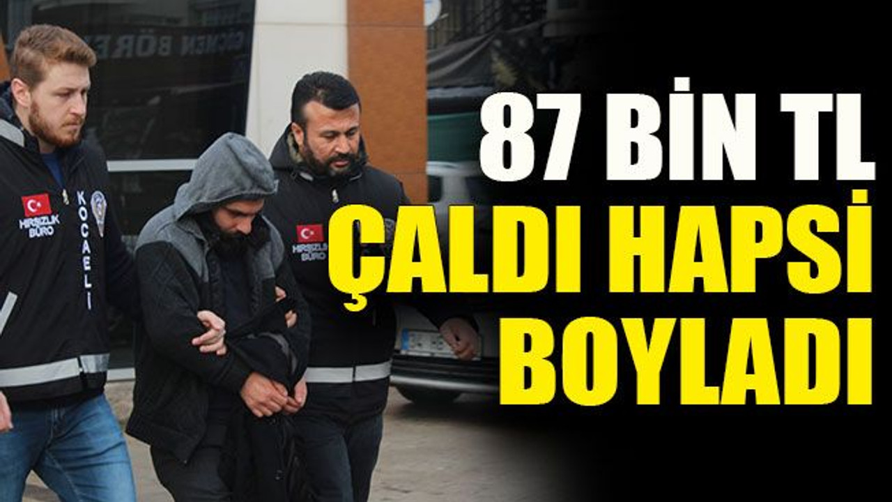 87 bin TL çaldı hapsi boyladı