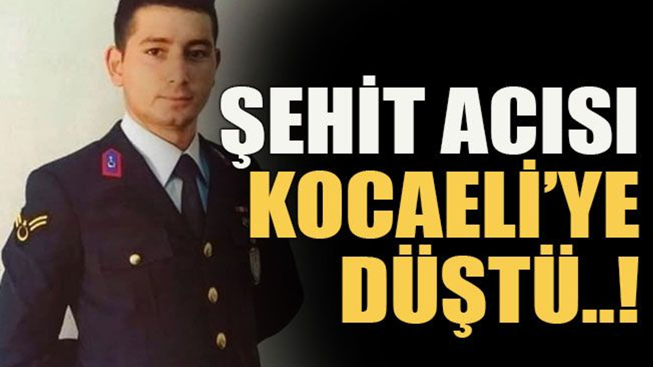 Şehit acısı Kocaeli’ye düştü!