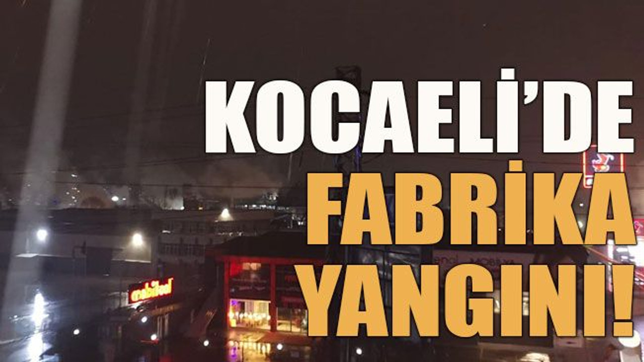Kocaeli’de fabrika yangını!