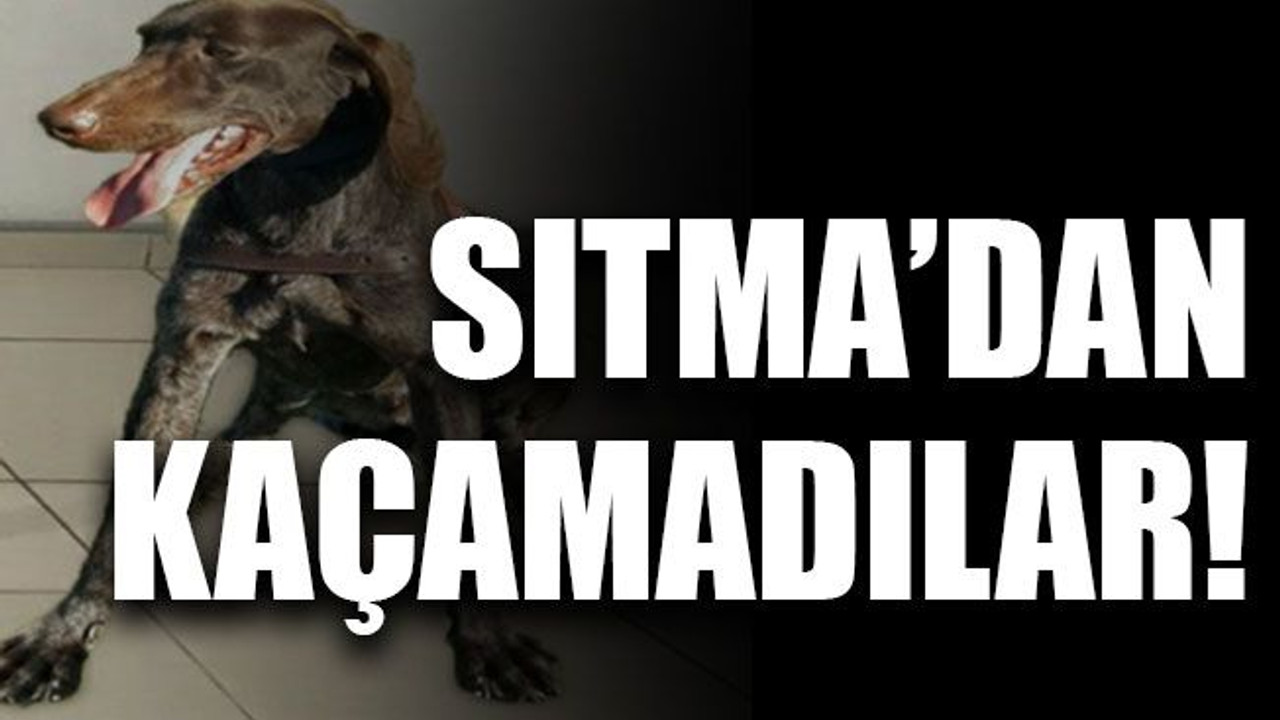 Sıtma’dan kaçamadılar!