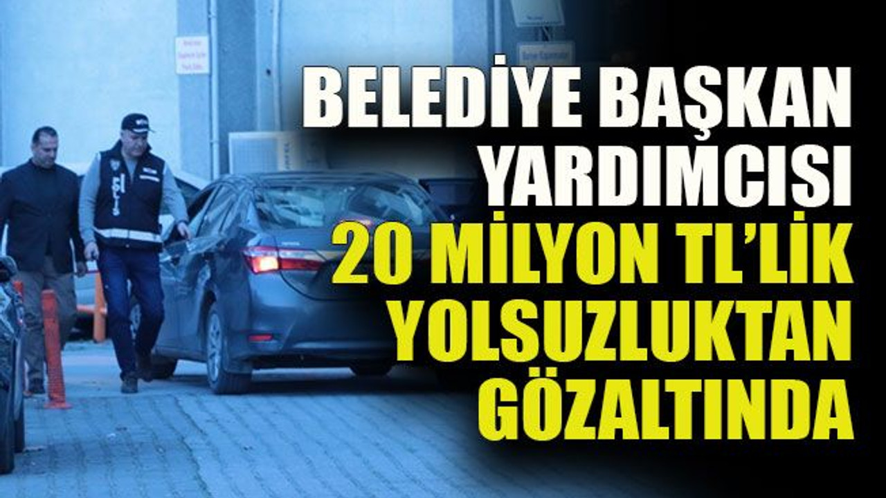 Yalova vurgununda gözaltına alınan Başkan Yardımcısı tanıdık çıktı