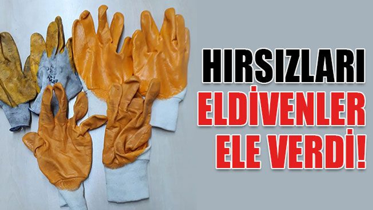 Hırsızları kirli eldivenler ele verdi... Bekçiler yakaladı