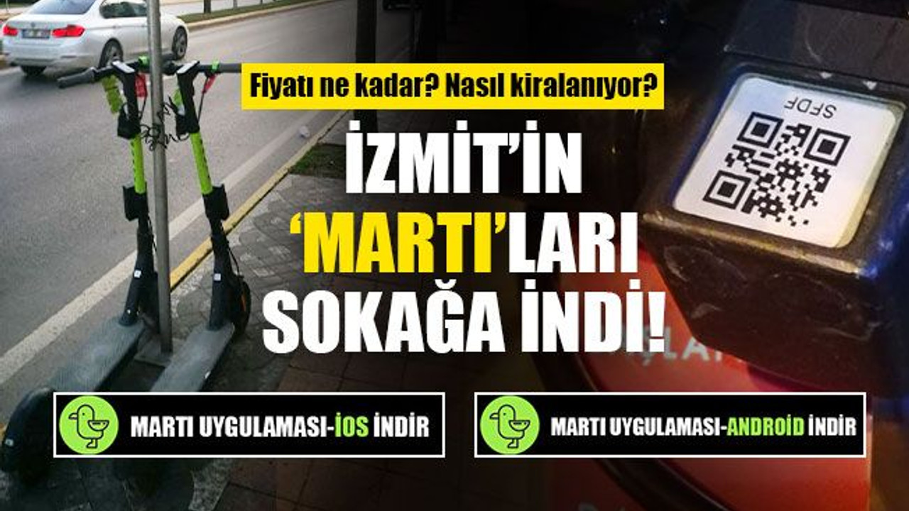 İzmit Belediyesinin ‘Martı’ları artık sokakta! Nasıl kiralanıyor, fiyatı ne?