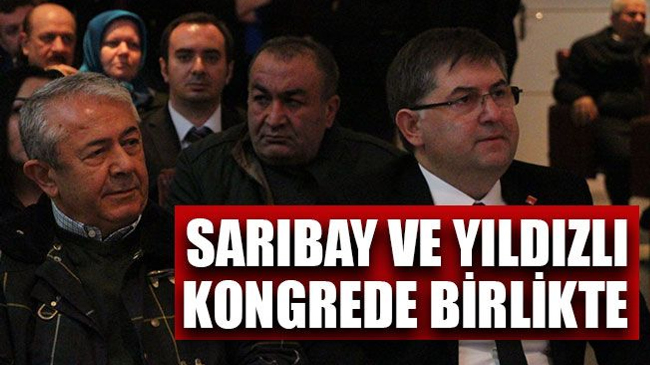 Sarıbay ve Yıldızlı kongrede birlikte